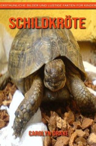 Cover of Schildkröte