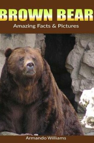 Cover of Brown Bear