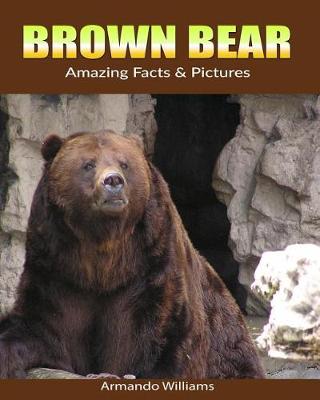 Book cover for Brown Bear