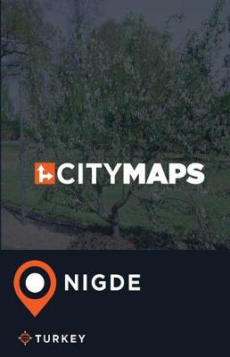 Book cover for City Maps Nigde Turkey