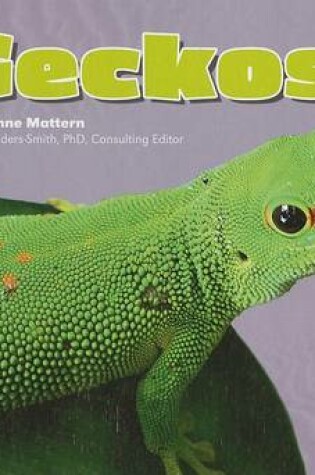 Cover of Geckos