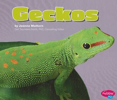 Cover of Geckos