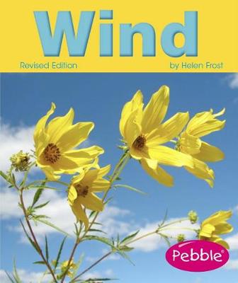 Book cover for Wind (Weather)