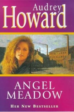 Cover of Angel Meadow