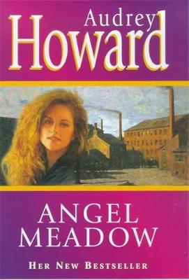 Book cover for Angel Meadow