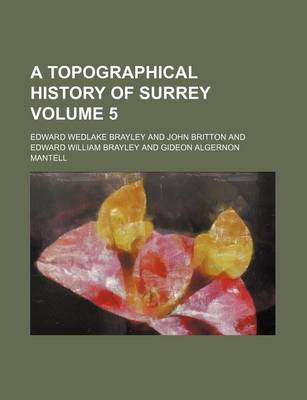 Book cover for A Topographical History of Surrey Volume 5