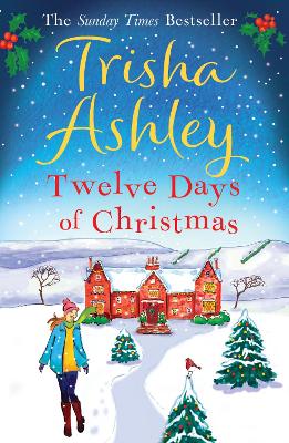 Book cover for Twelve Days of Christmas