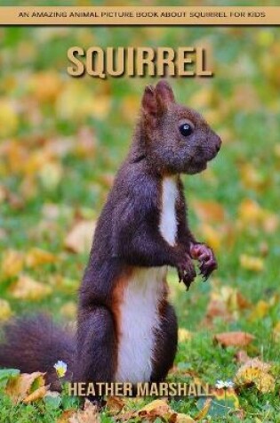 Cover of Squirrel