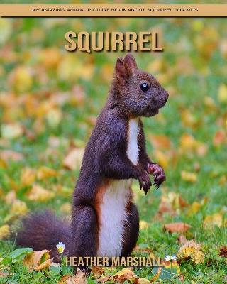 Book cover for Squirrel