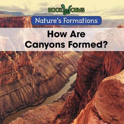 Book cover for How Are Canyons Formed?