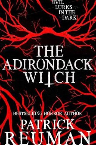Cover of The Adirondack Witch