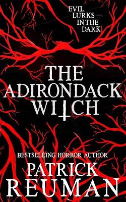 Book cover for The Adirondack Witch