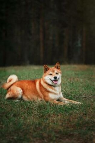 Cover of Shiba Inu