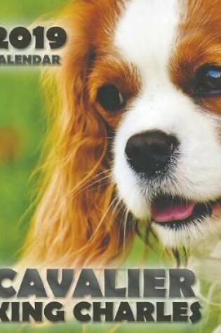 Cover of Cavalier King Charles 2019 Calendar