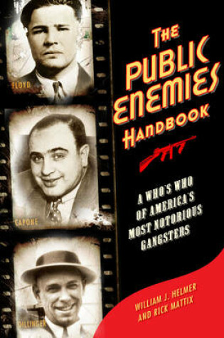 Cover of The Public Enemies Handbook