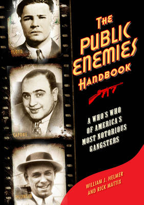 Book cover for The Public Enemies Handbook