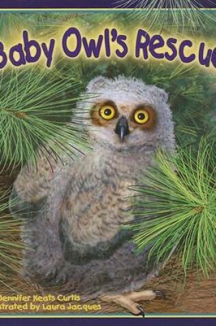 Cover of Baby Owl's Rescue