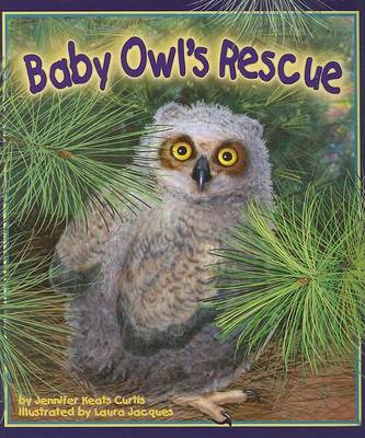 Book cover for Baby Owl's Rescue