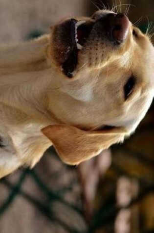 Cover of Yellow Lab Labrador Retriever Dog Barking Journal