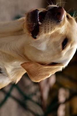 Book cover for Yellow Lab Labrador Retriever Dog Barking Journal