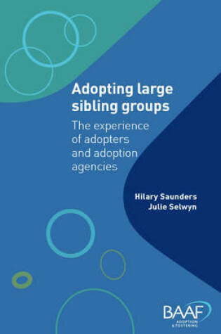 Cover of Adopting Large Sibling Groups