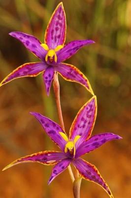 Book cover for Queen of Sheba Orchid in Western Australia Journal