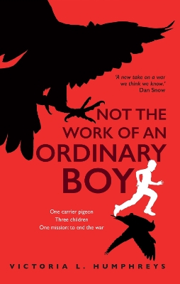 Book cover for Not the Work of an Ordinary Boy