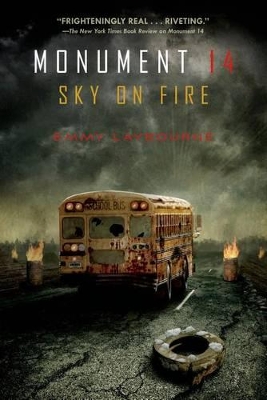 Book cover for Sky on Fire