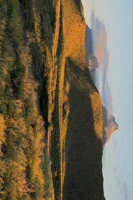 Book cover for The Chisos Mountains at Big Bend U S National Park, Texas