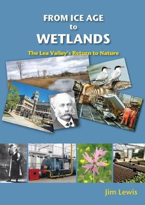 Book cover for From Ice Age to Wetlands