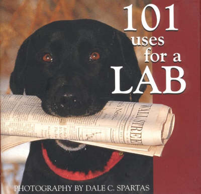 Book cover for 101 Uses for a Lab