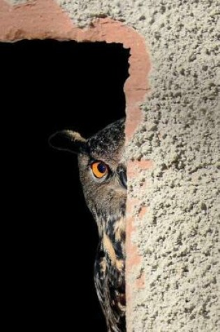 Cover of This Owl is Peeking at You from This Journal - Pretend You Don't See Him