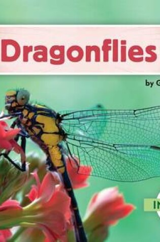 Cover of Dragonflies