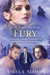 Book cover for Fury