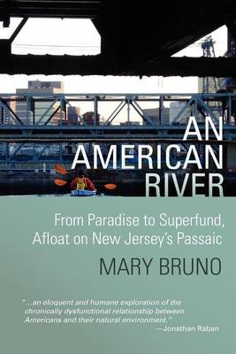 Book cover for An American River