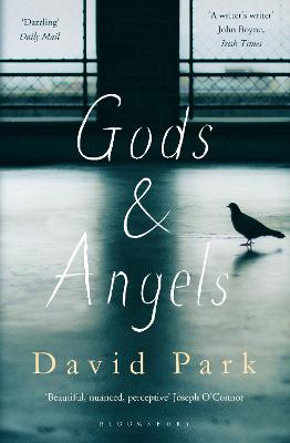 Book cover for Gods and Angels