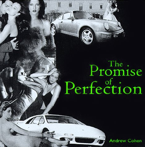 Book cover for Promise of Perfection