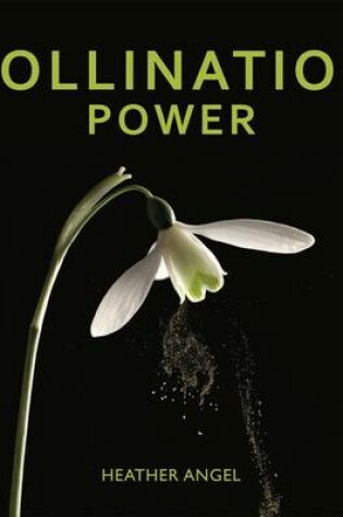 Cover of Pollination Power