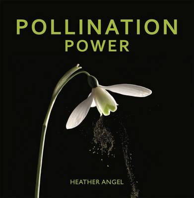 Book cover for Pollination Power