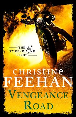 Book cover for Vengeance Road