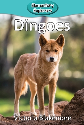 Cover of Dingoes