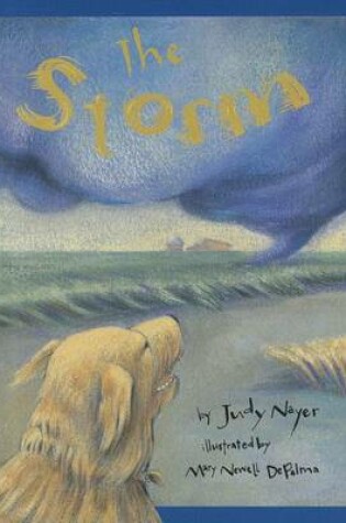 Cover of The Storm