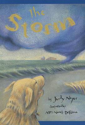 Book cover for The Storm