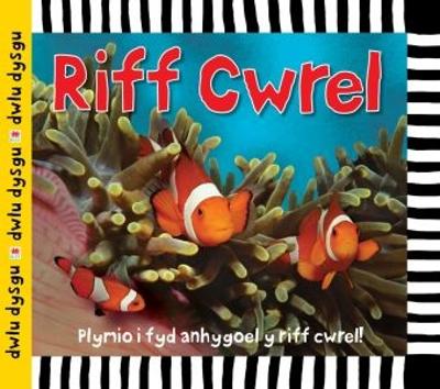 Book cover for Cyfres Dwlu Dysgu: Riff Cwrel