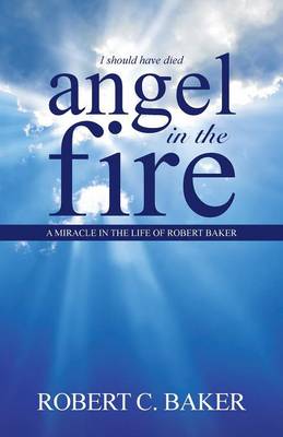 Book cover for Angel in the Fire