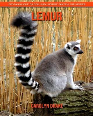 Book cover for Lemur