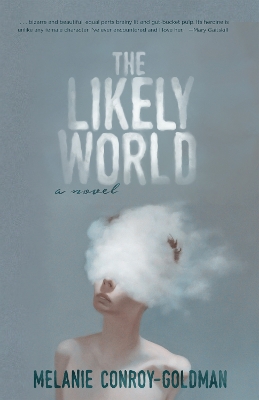 Book cover for The Likely World