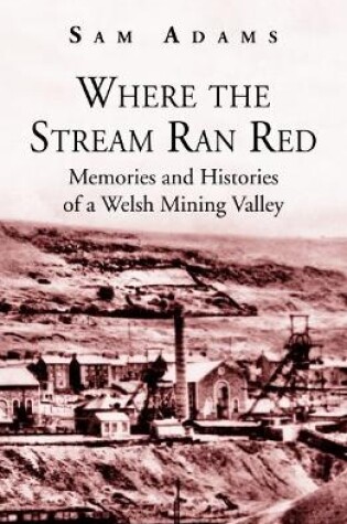 Cover of Where the Stream Ran Red - Memories and Histories of a Welsh Mining Valley
