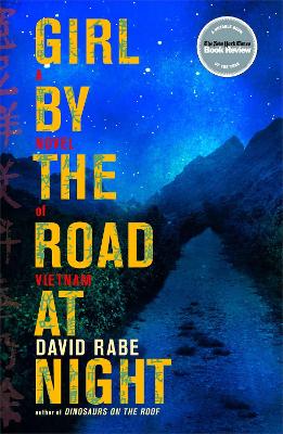 Book cover for Girl by the Road at Night