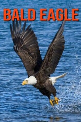 Cover of Bald Eagle